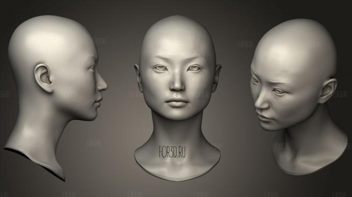 Female Head 8 01 stl model for CNC